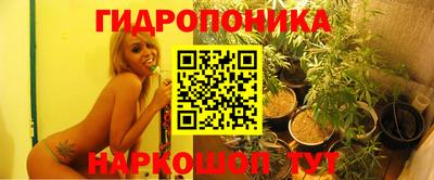 дживик Камышлов